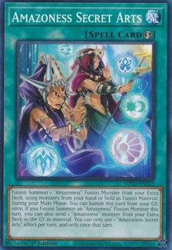 Amazoness Secret Arts